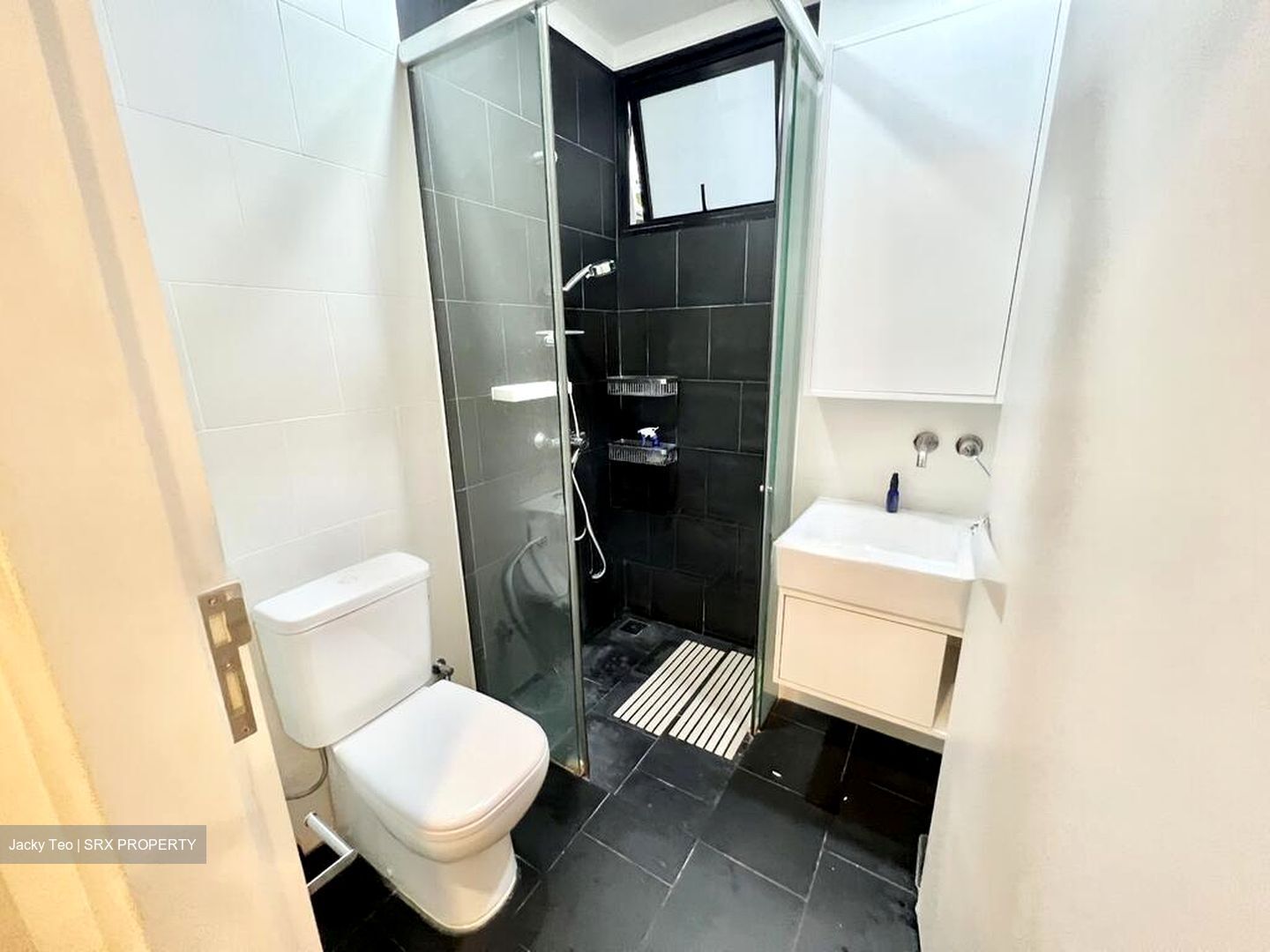 Village @ Pasir Panjang (D5), Condominium #532777221